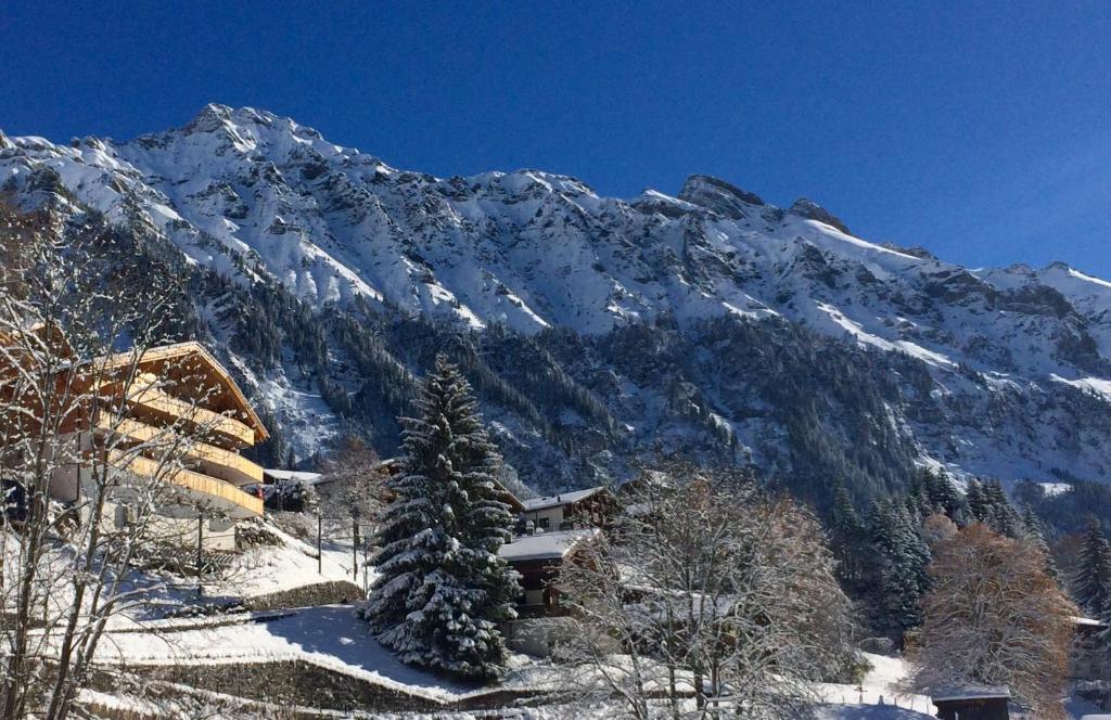 Holiday flat #1, Chalet Aberot, Wengen, Switzerland — Hotel in Wengen