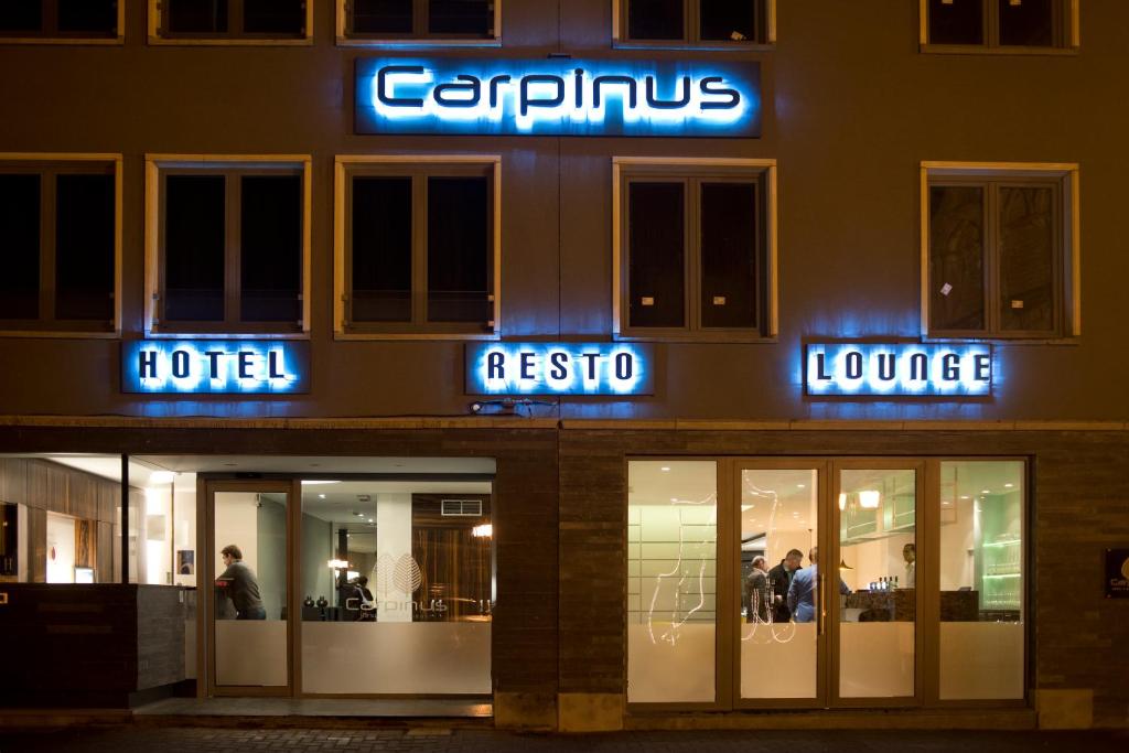 Hotel Carpinus photo