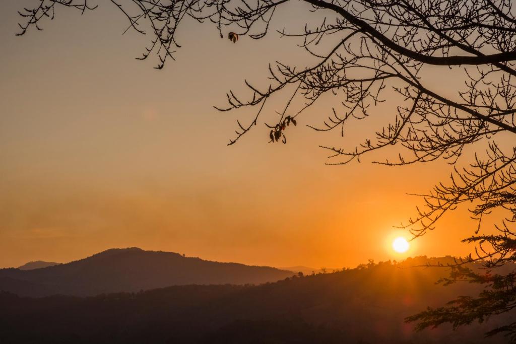 ทัศนียภาพ