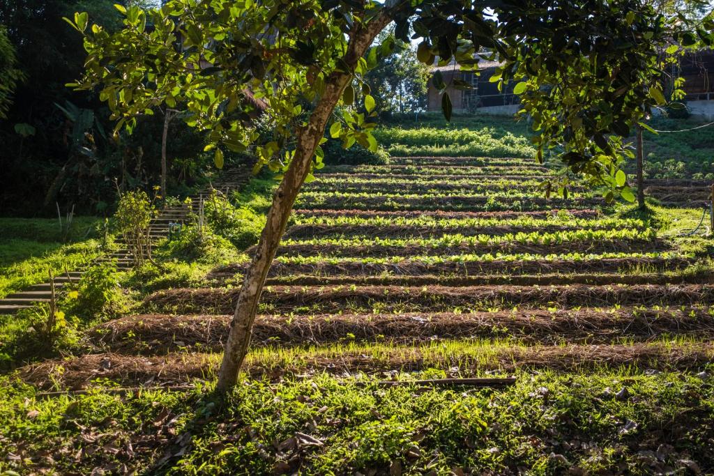 رياضة و نشاطات