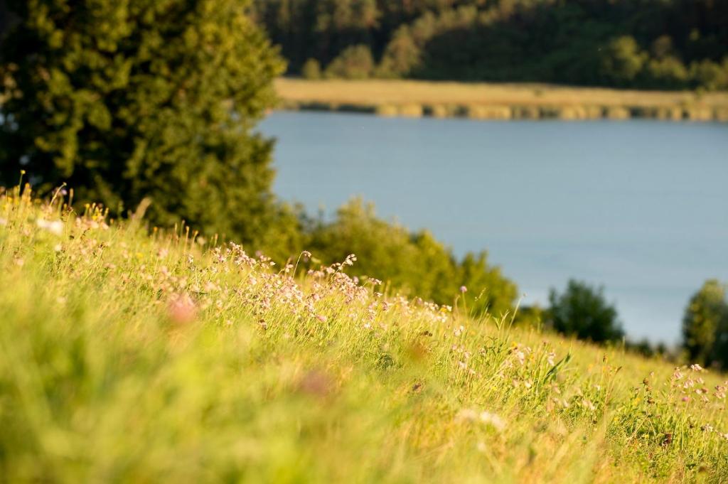 Hotel Turnersee - 4