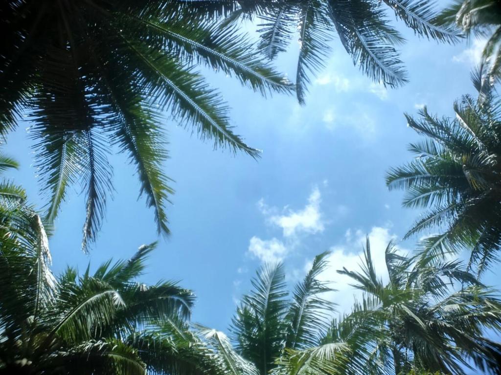 Crossbill Beach Resort photo