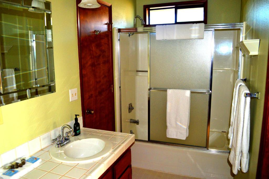 Seas the Day Main image 1