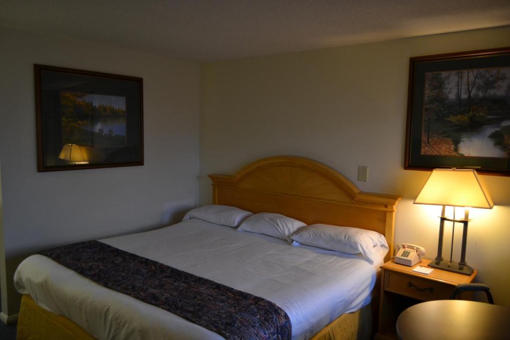 The Ship Motel photo