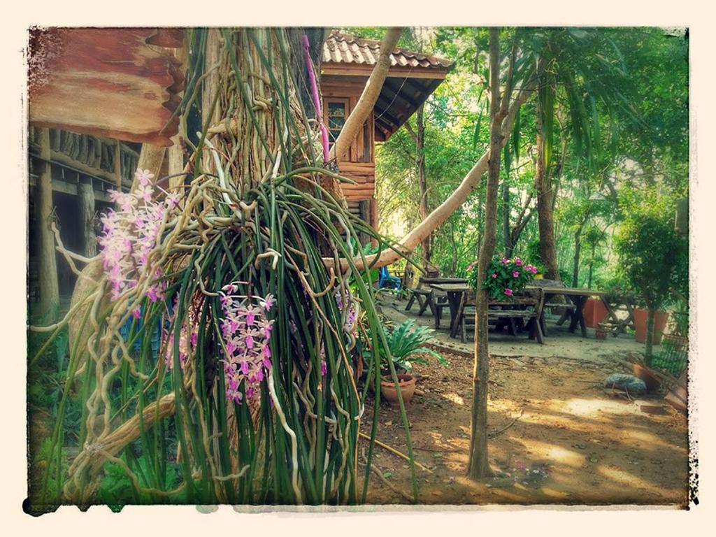 Surrounding environment