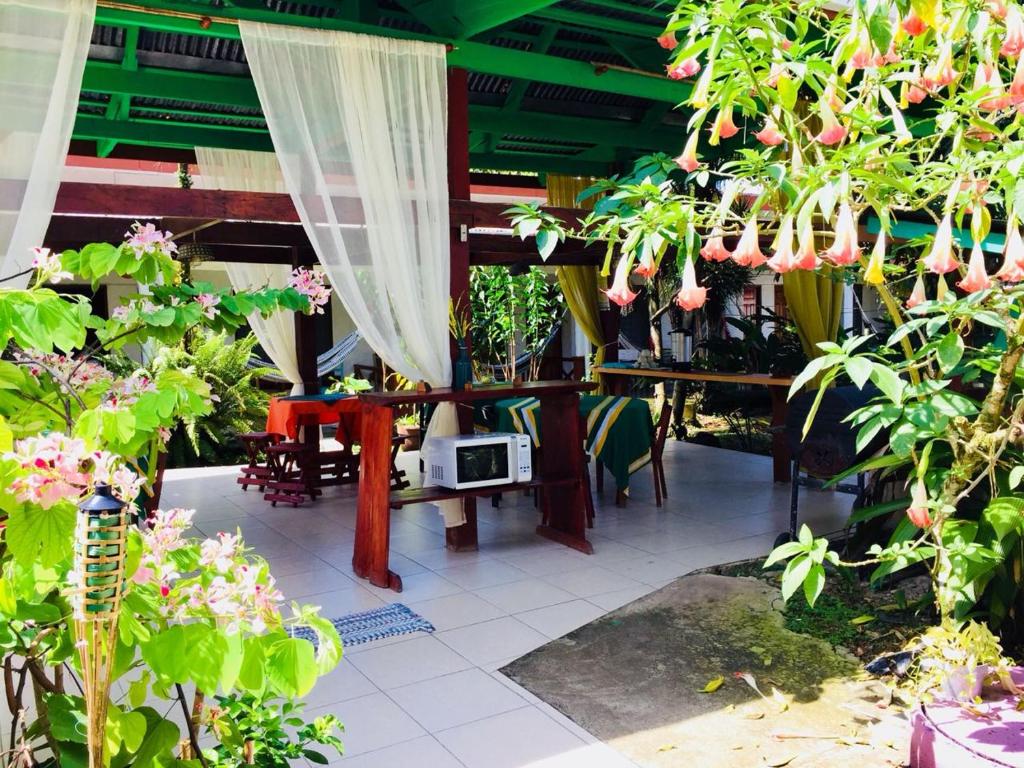 Cabinas Palmer Makanda