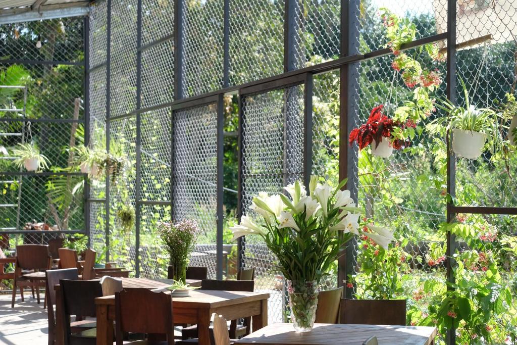 Lana Land Homestay Phu Quoc