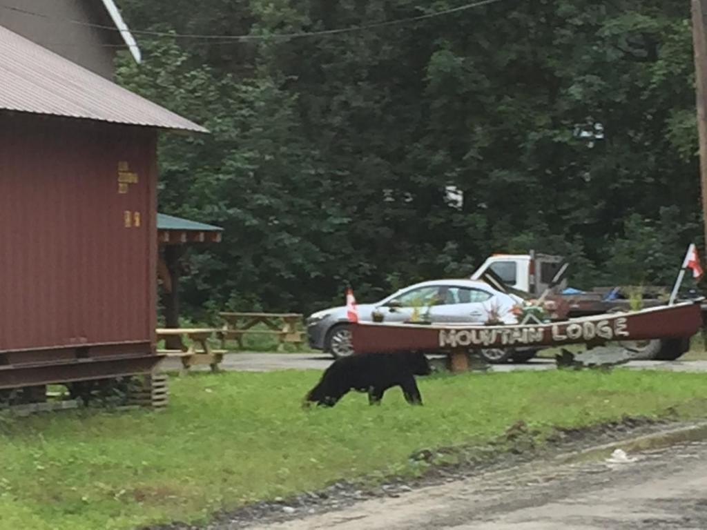 Stewart Mountain Lodge photo