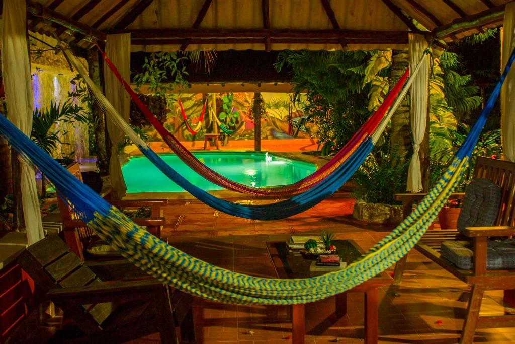 Casa De Los Pajaros - B&B photo