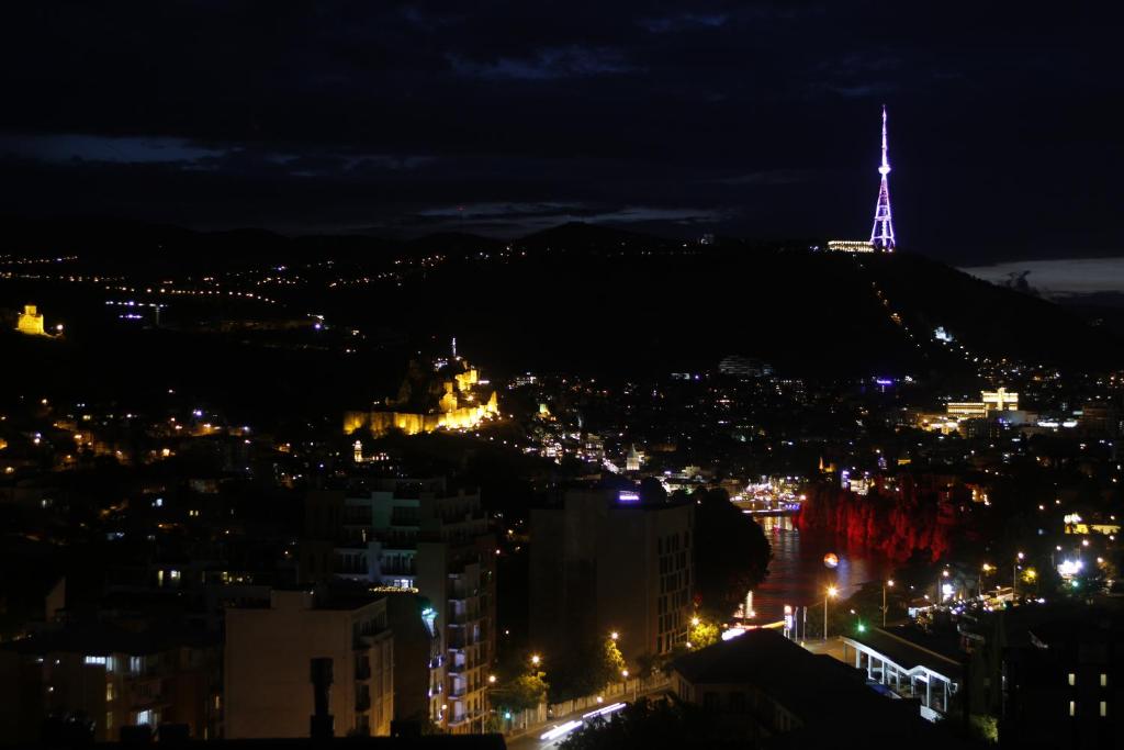 Hotel Grand View in Tbilisi photo