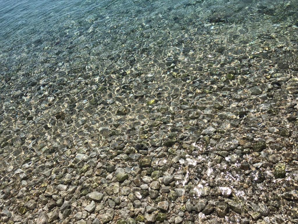 Nonna Nera photo