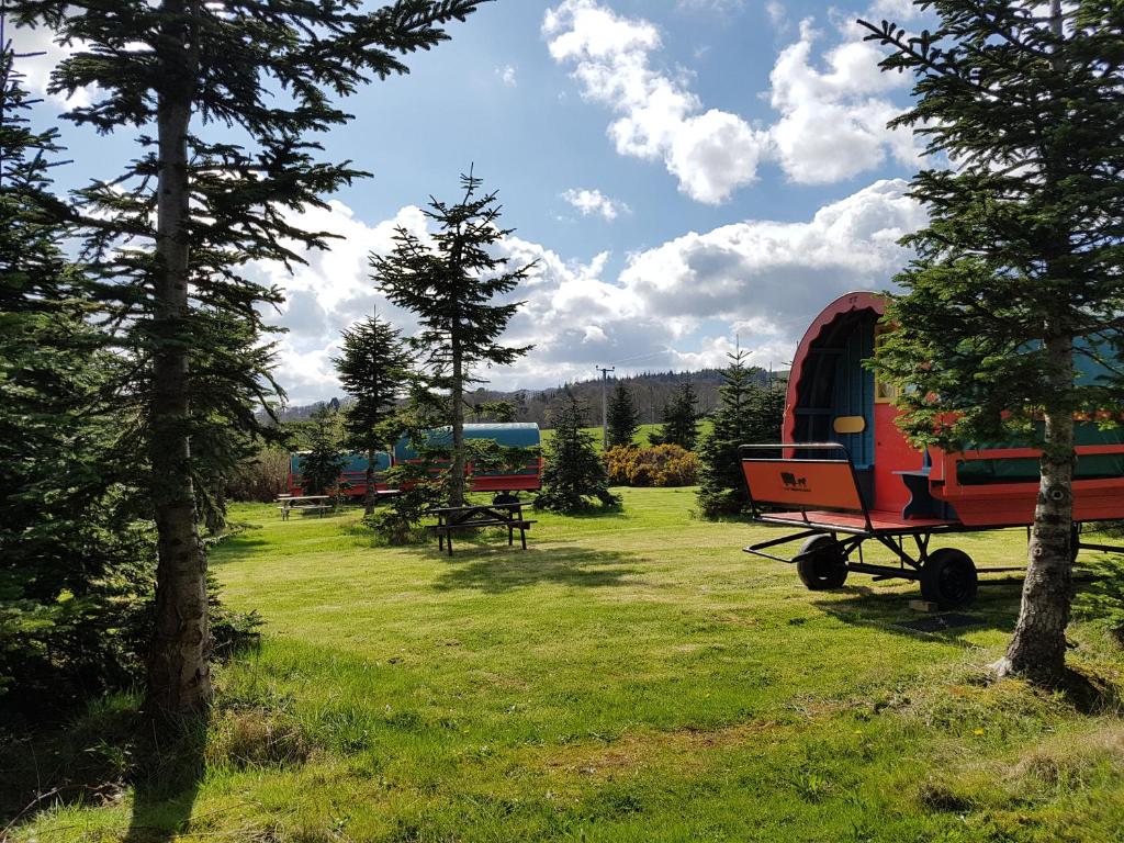 Clissmann Horse Caravans Glamping photo