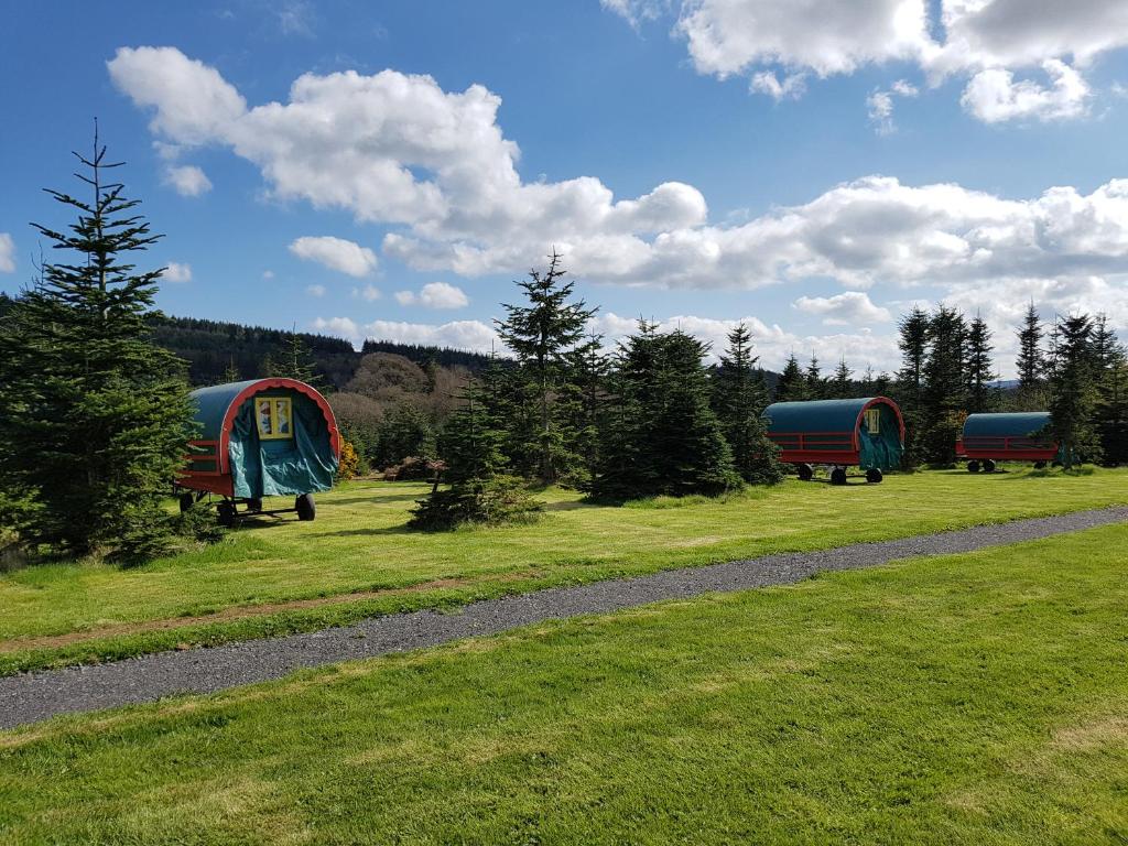 Clissmann Horse Caravans Glamping photo