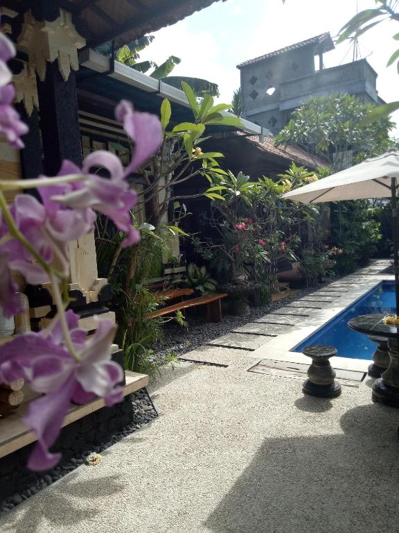 Surrounding environment