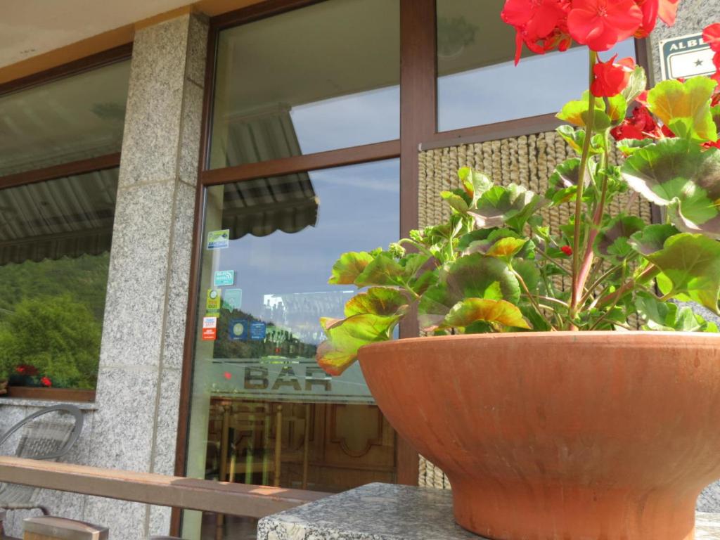 Albergo Ristorante Innocenti photo