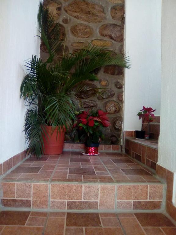 Hotel Quinta Mar y Selva photo