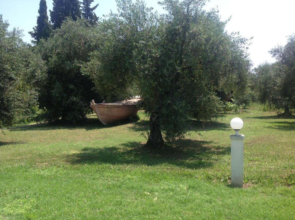 Yianetta Hotel & Suites — Attractions in the area in Kavos, Ionian Islands
