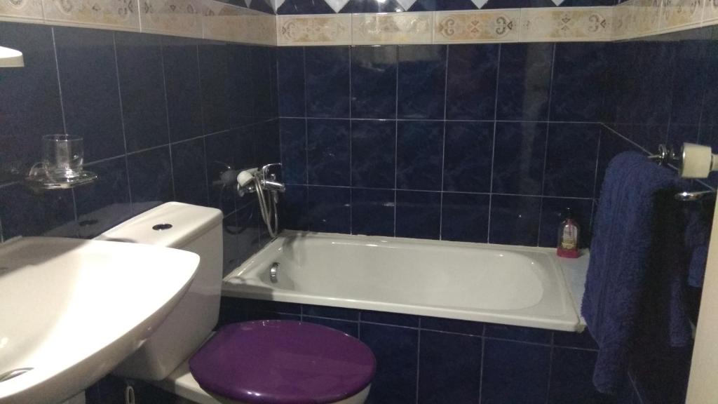 Hostal Alameda photo