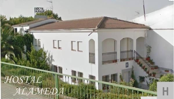 Hostal Alameda photo