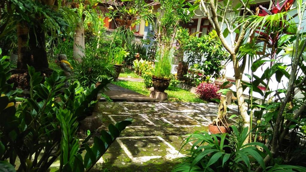 Yumi House photo