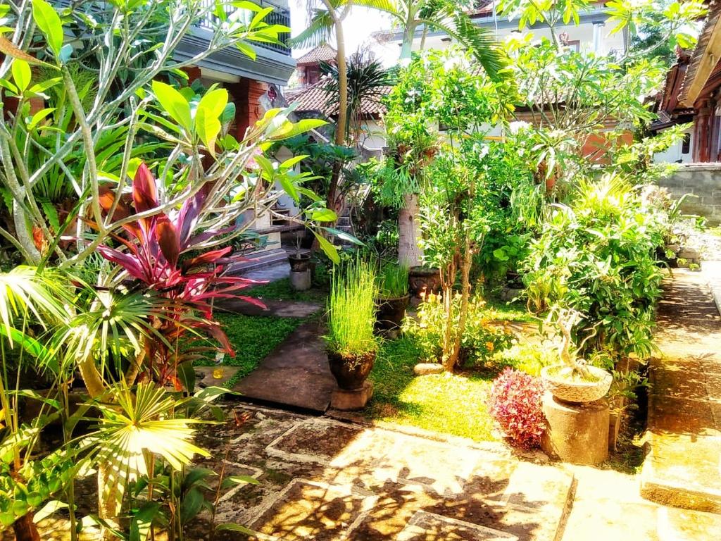 Yumi House photo