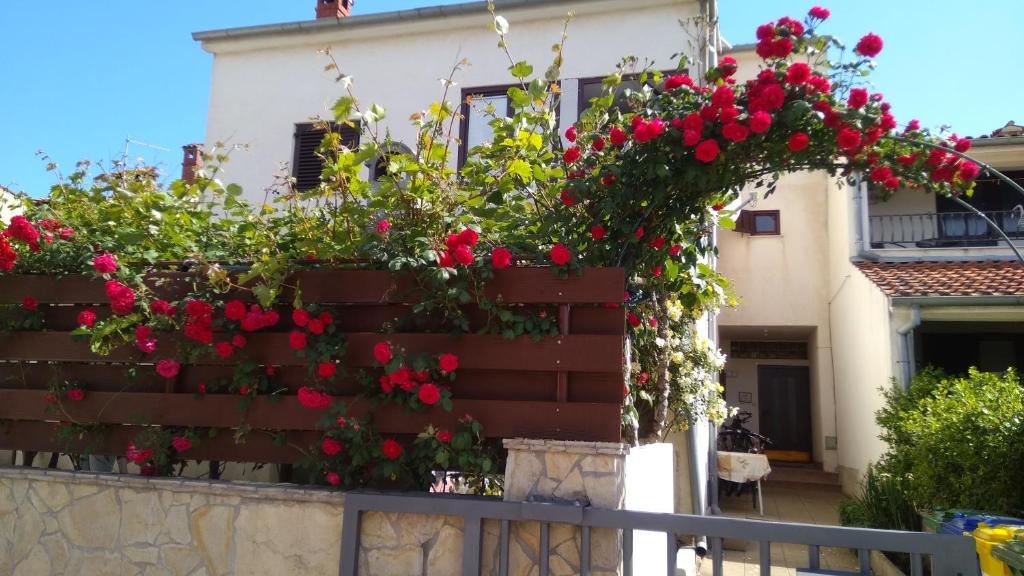 Apartments Alex — Hotel in Rovinj
