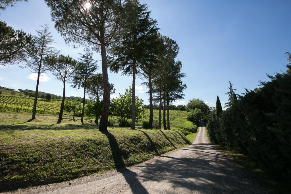 Tenuta San Filippo - 4
