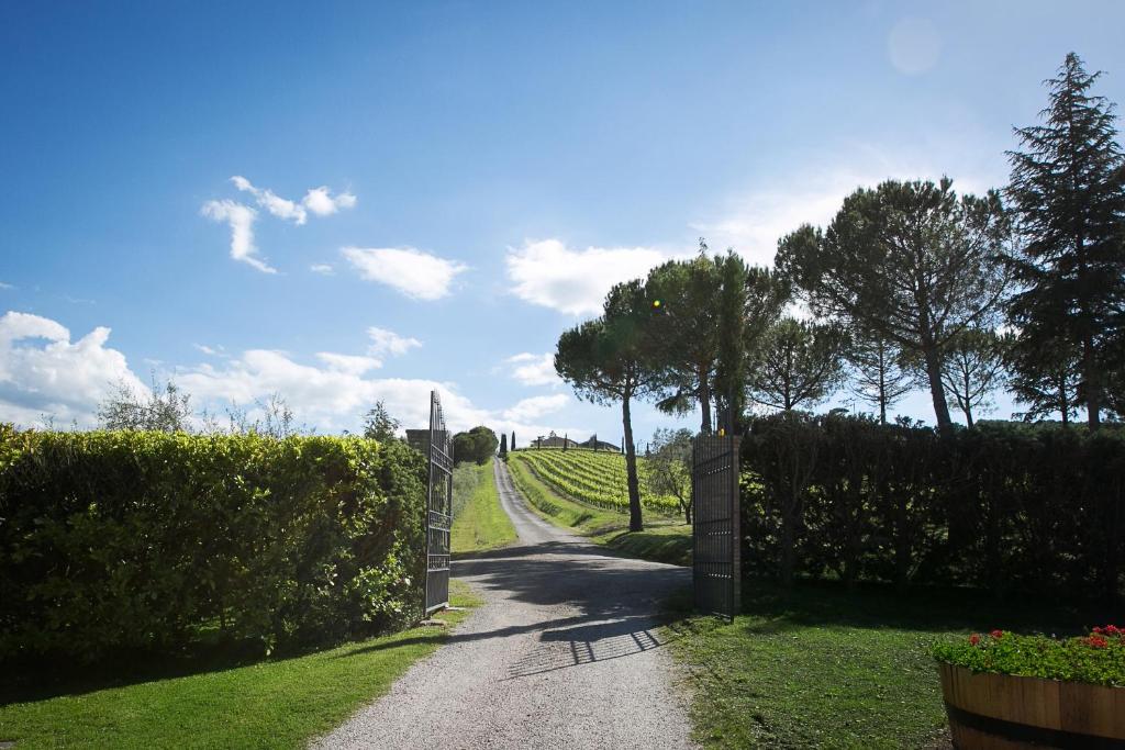 Tenuta San Filippo - 3