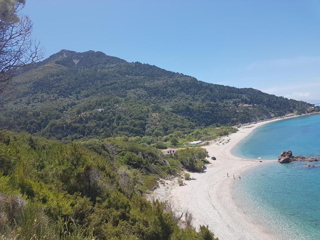 Villa Antonio photo