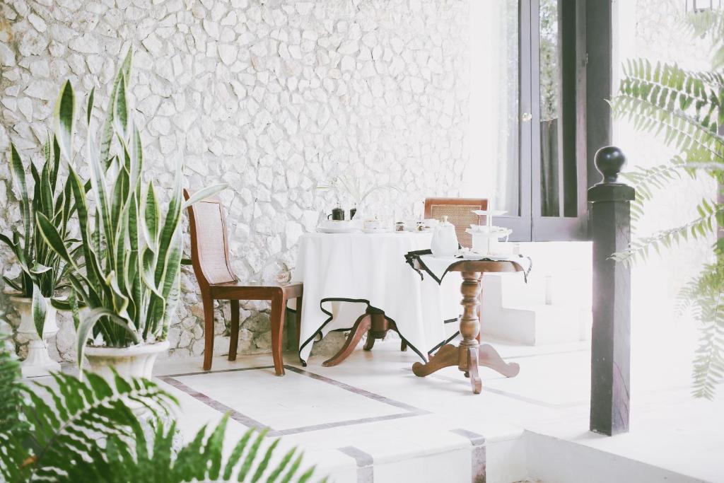 Coqui Coqui La Perfumeria - Valladolid - THE ONLY ONE SUITE COLLECTION photo