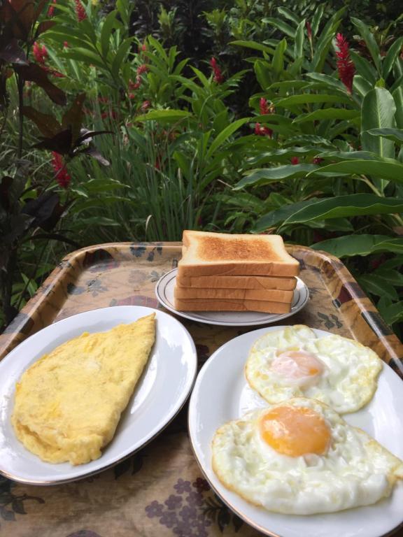 Essen und Erfrischungen