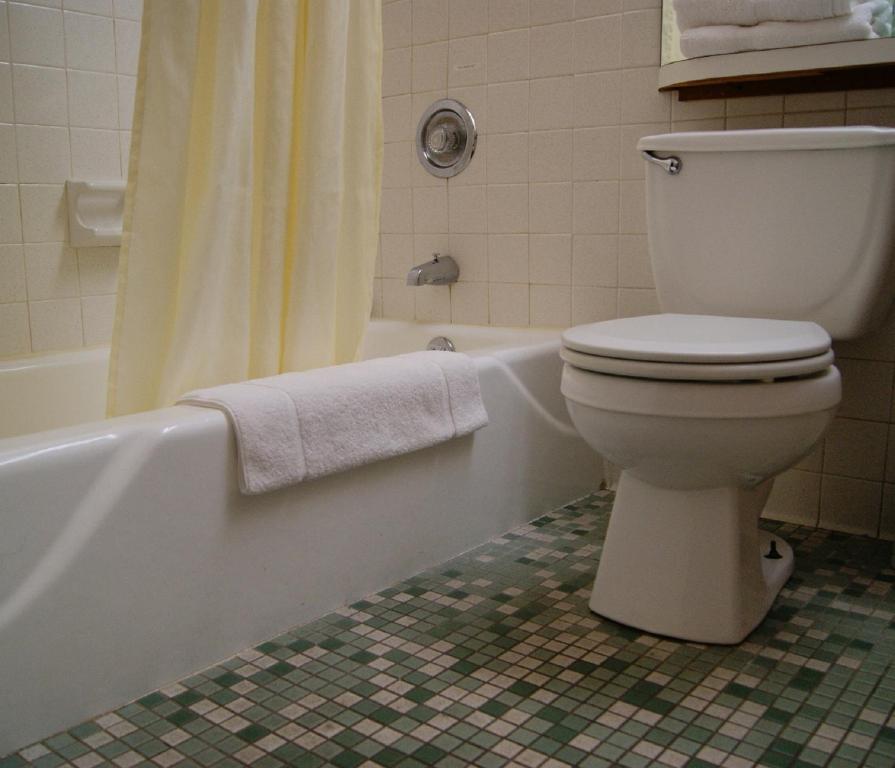Meadow Court Inn - Ithaca Photo 11