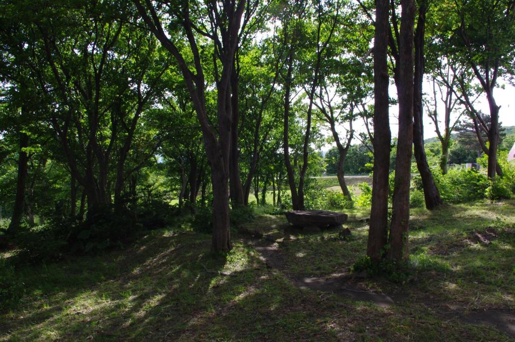 스포츠&체험활동