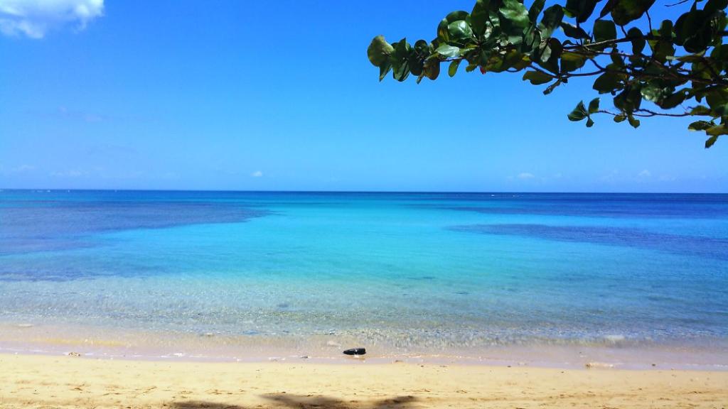 Aligio Apart-hotel & Spa - Las Terrenas photo