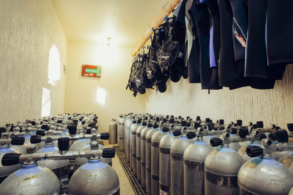 Sports and activities