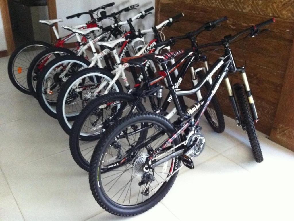 Sports and activities