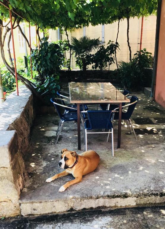 Apartment Thor, Opatija