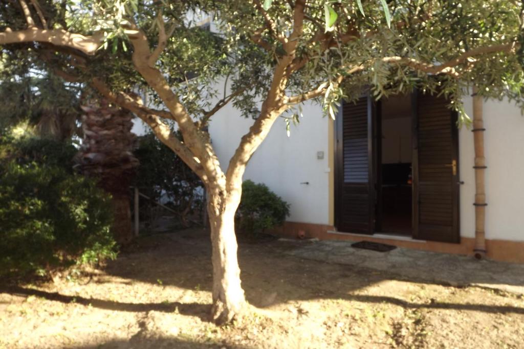 Casa Tarabulus - 5