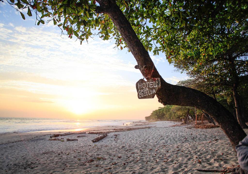 Surrounding environment