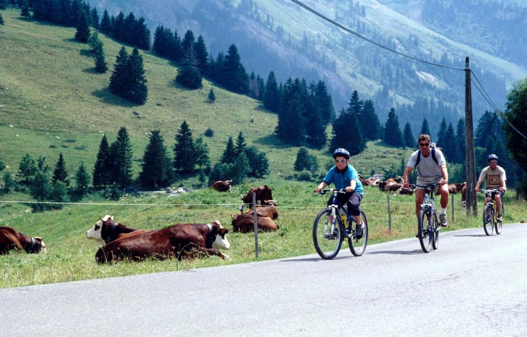 Résidence Azureva La Clusaz les Aravis - 4