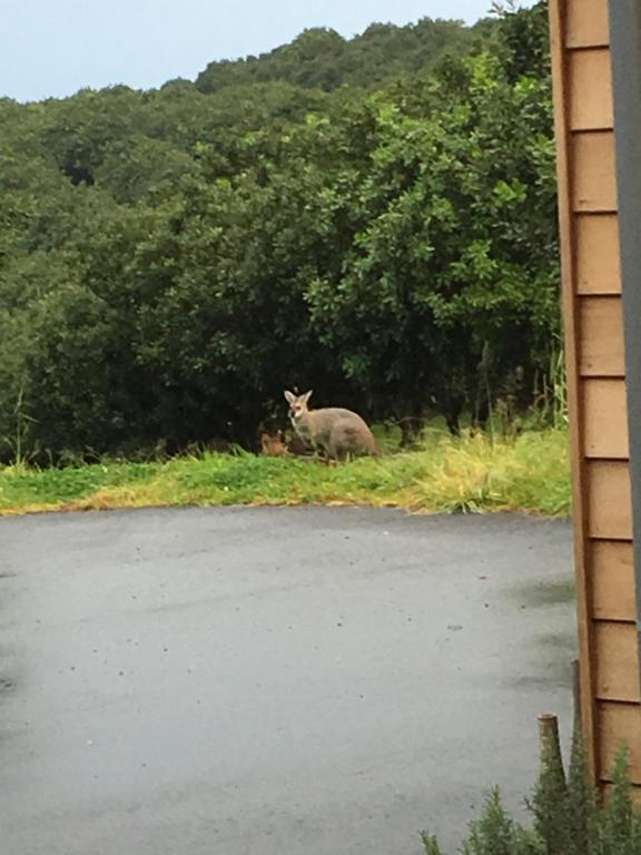 Surrounding environment