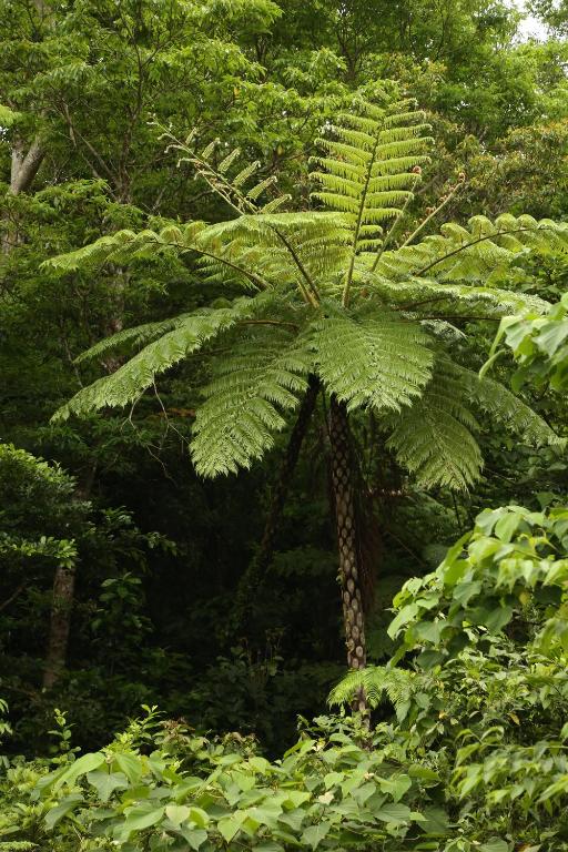 Surrounding environment