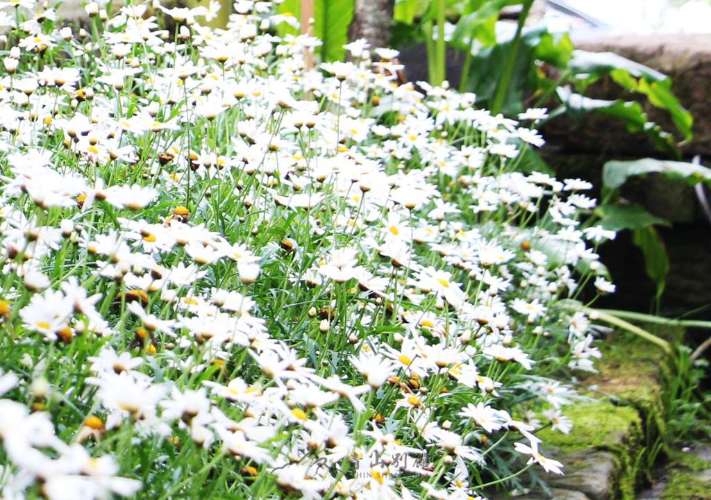 Unterkunft von außen