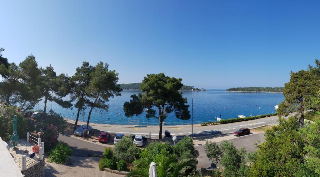 Apartments Villa Julija photo