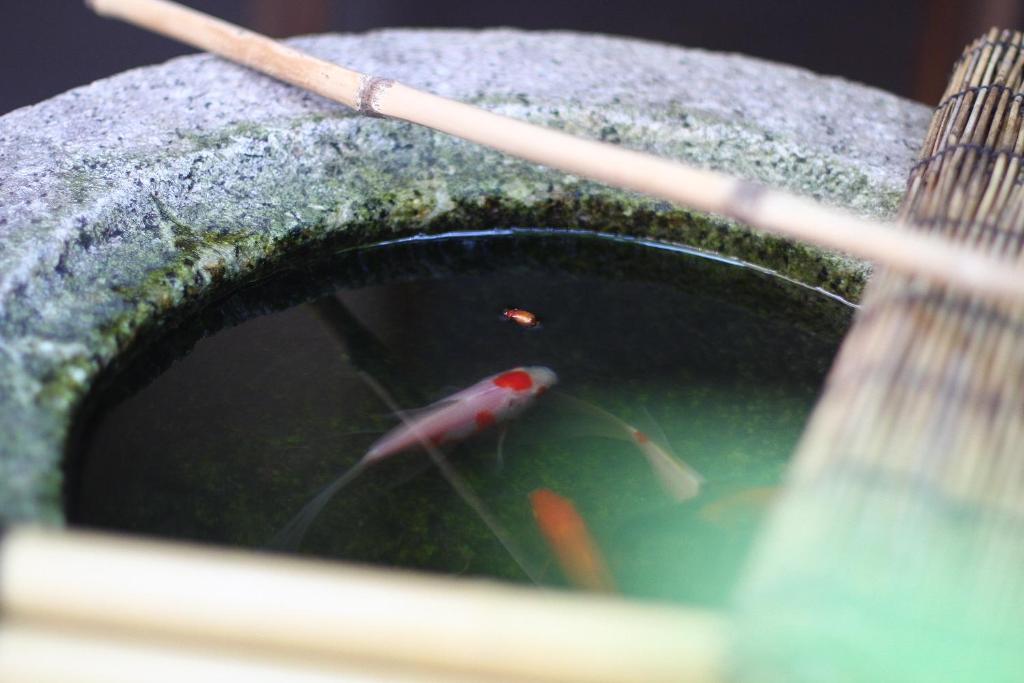 Guesthouse KYOTO COMPASS photo