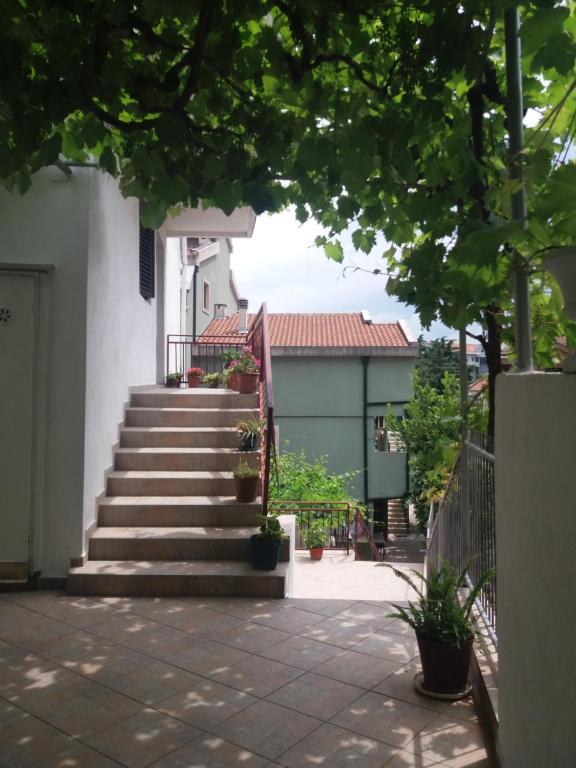 Apartments MM Budva photo