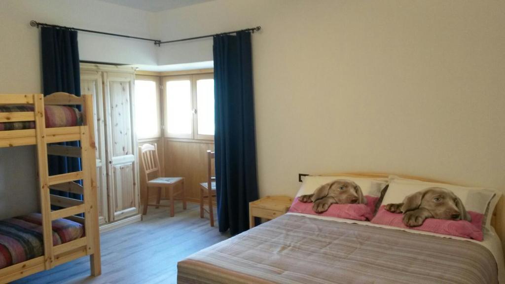 Agriturismo da Ysy photo