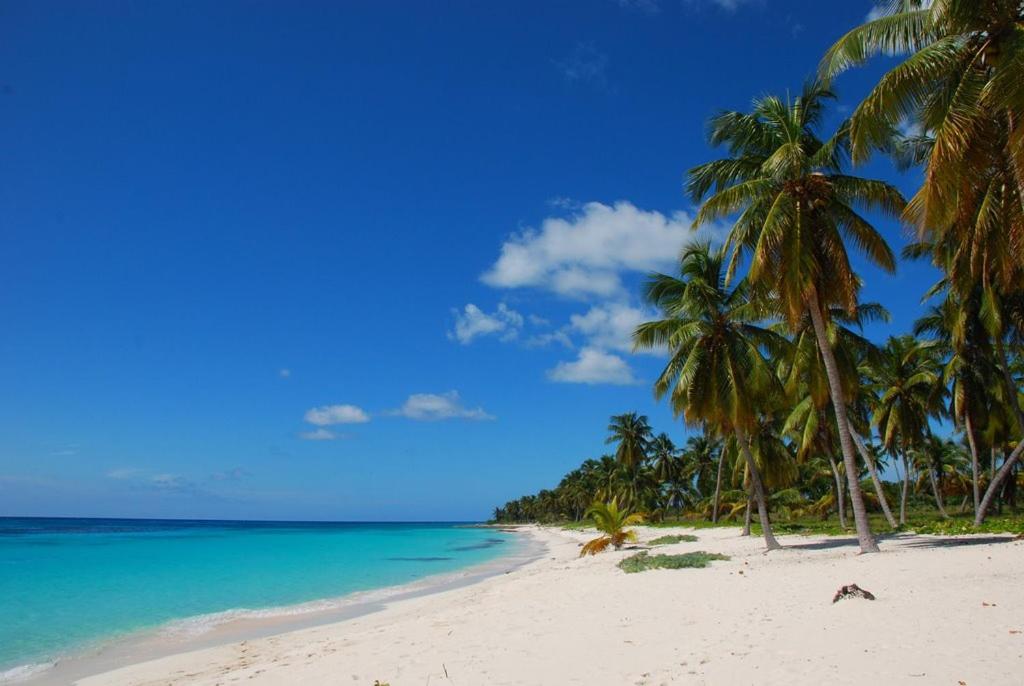 Saona Beach House - Bed and Breakfast — Hotel in Bayahibe