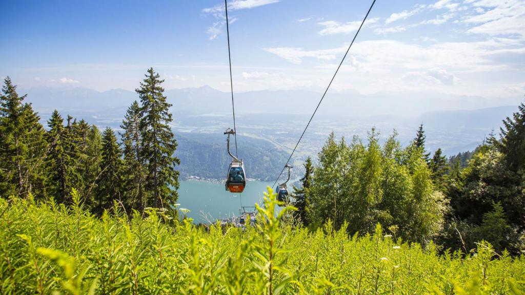 Sports and activities