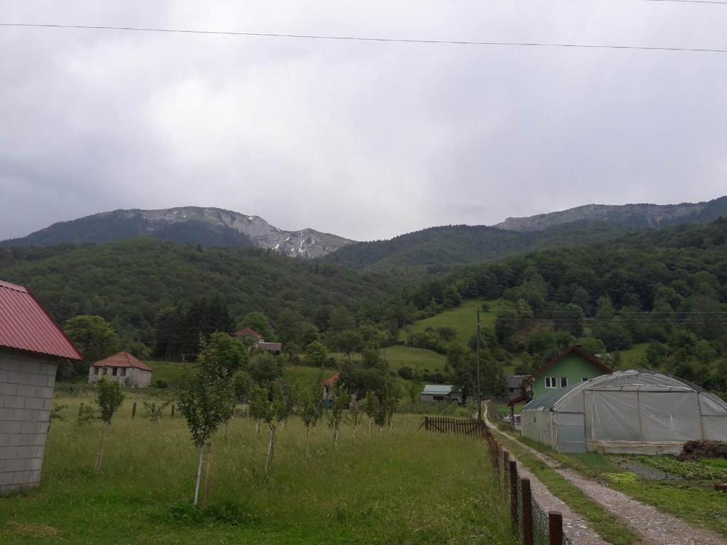 Surrounding environment